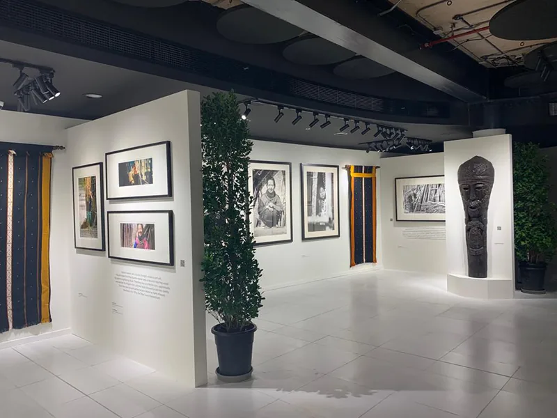 Modular white gallery walls integrated with decorative planting and suspended ceiling elements.