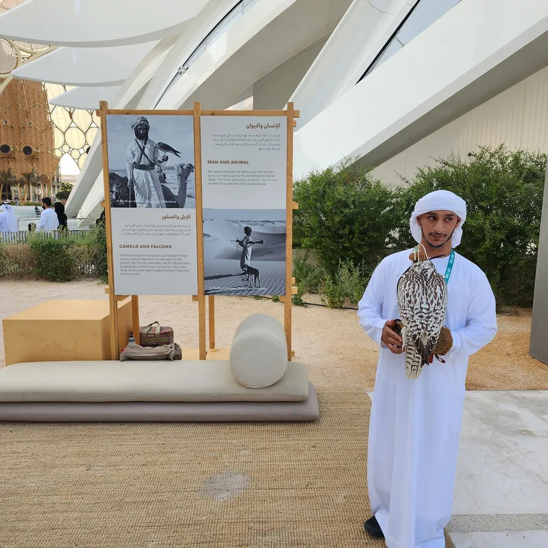 Scenic backdrops and interpretive panels supporting the pavilion’s guided heritage installations.