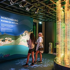 Montenegro Pavilion National Day Celebration – Custom Scenic Fabrication
