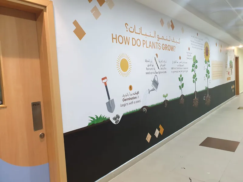 Illustrated science wall graphic explaining plant growth within an NCE school corridor.