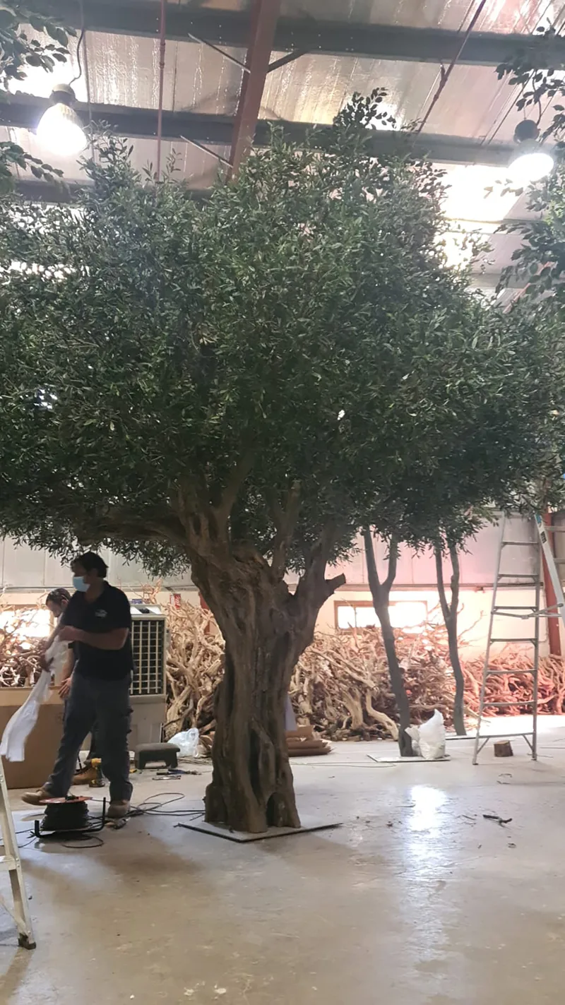 Spray-finished tree bookshelf serving as a central feature within the school library.