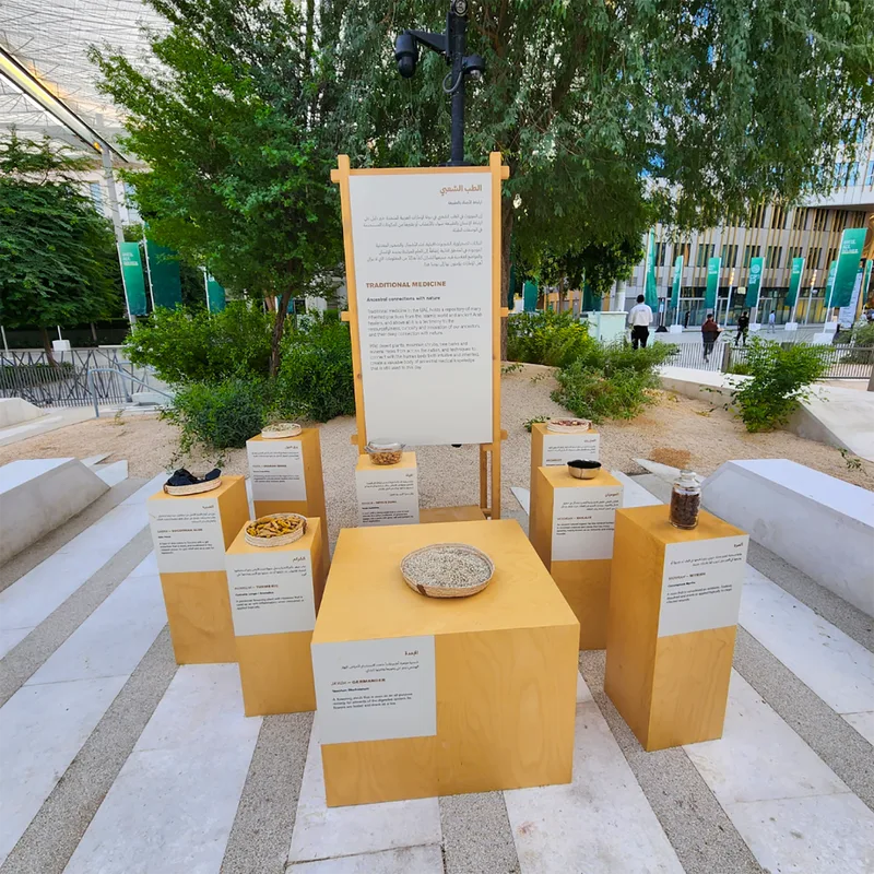 Timber-based traditional medicine plinths positioned around a framed interpretation panel.