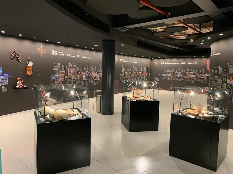 Black scenic display bases coordinated with glazed artefact cases and focused lighting.