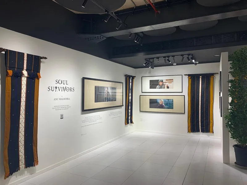 Evolution Scenic ceiling structures and track lighting installed above the exhibition fitout.